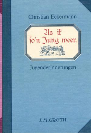 Cover of the work