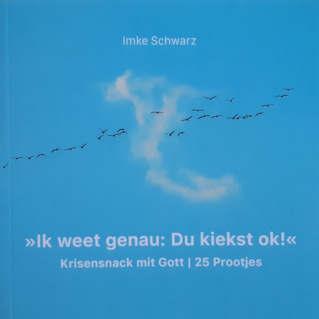 Omslag van het boek