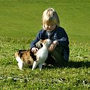 Bild, dat de Ünnerbedüden illustreert