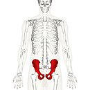 Bild, dat de Ünnerbedüden illustreert