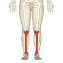 afbeelding, dat de onderbetekenis illustreerd