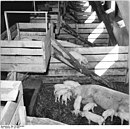 Bild, dat de Ünnerbedüden illustreert