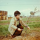 Bild, dat de Ünnerbedüden illustreert