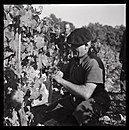 Bild, dat de Ünnerbedüden illustreert